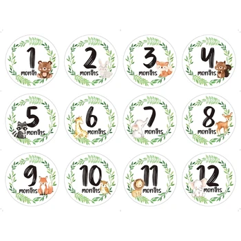 Стикери с цветя принтом Етикети за месечна записване на детето Запомнящи се картички с номер на Реквизит за снимки Аксесоари X90C